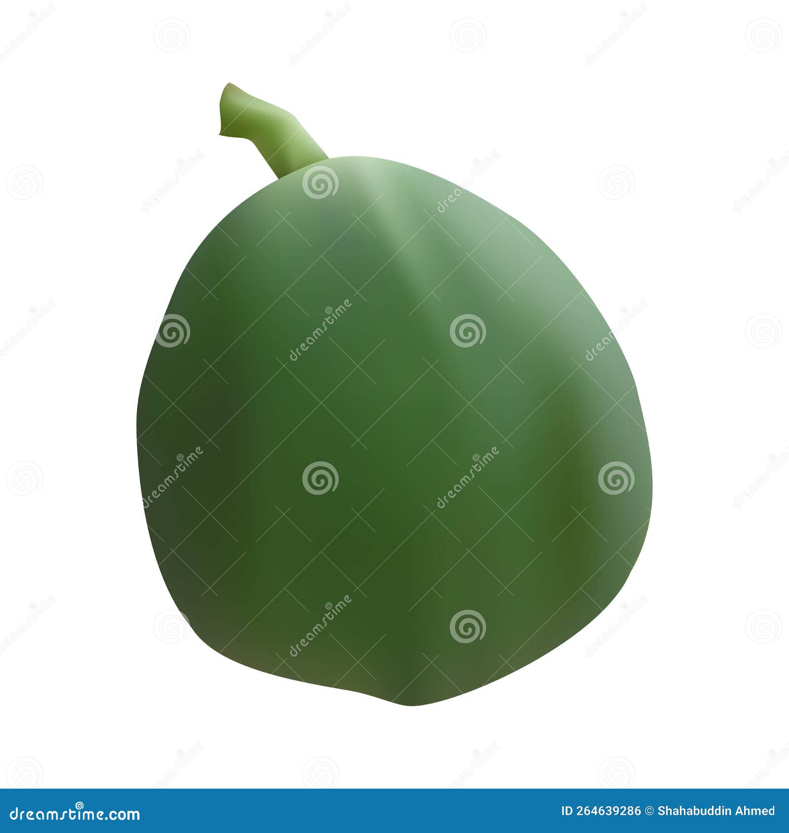 Realistic Green Papaya Vector Design Stock Vector - Illustration of