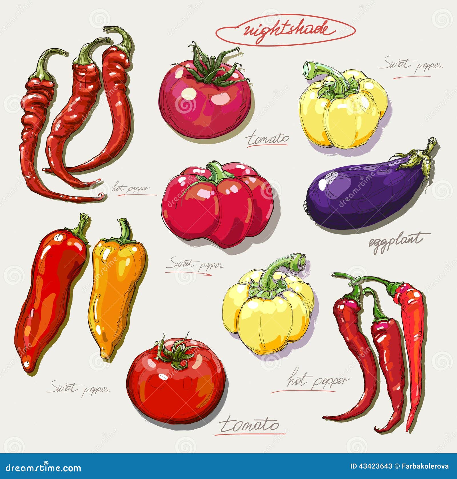 Vegetable drawing Images - Search Images on Everypixel