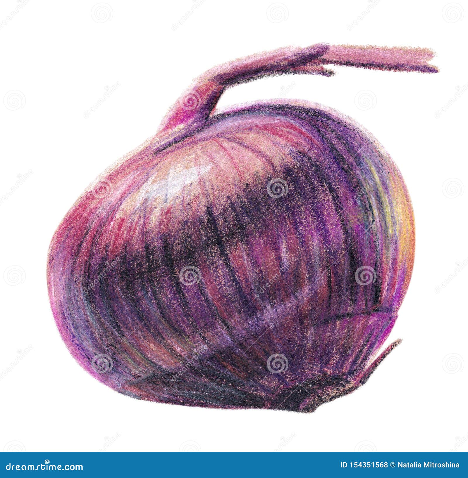 Red Onion Colored Pencil Drawing Art Print - Etsy