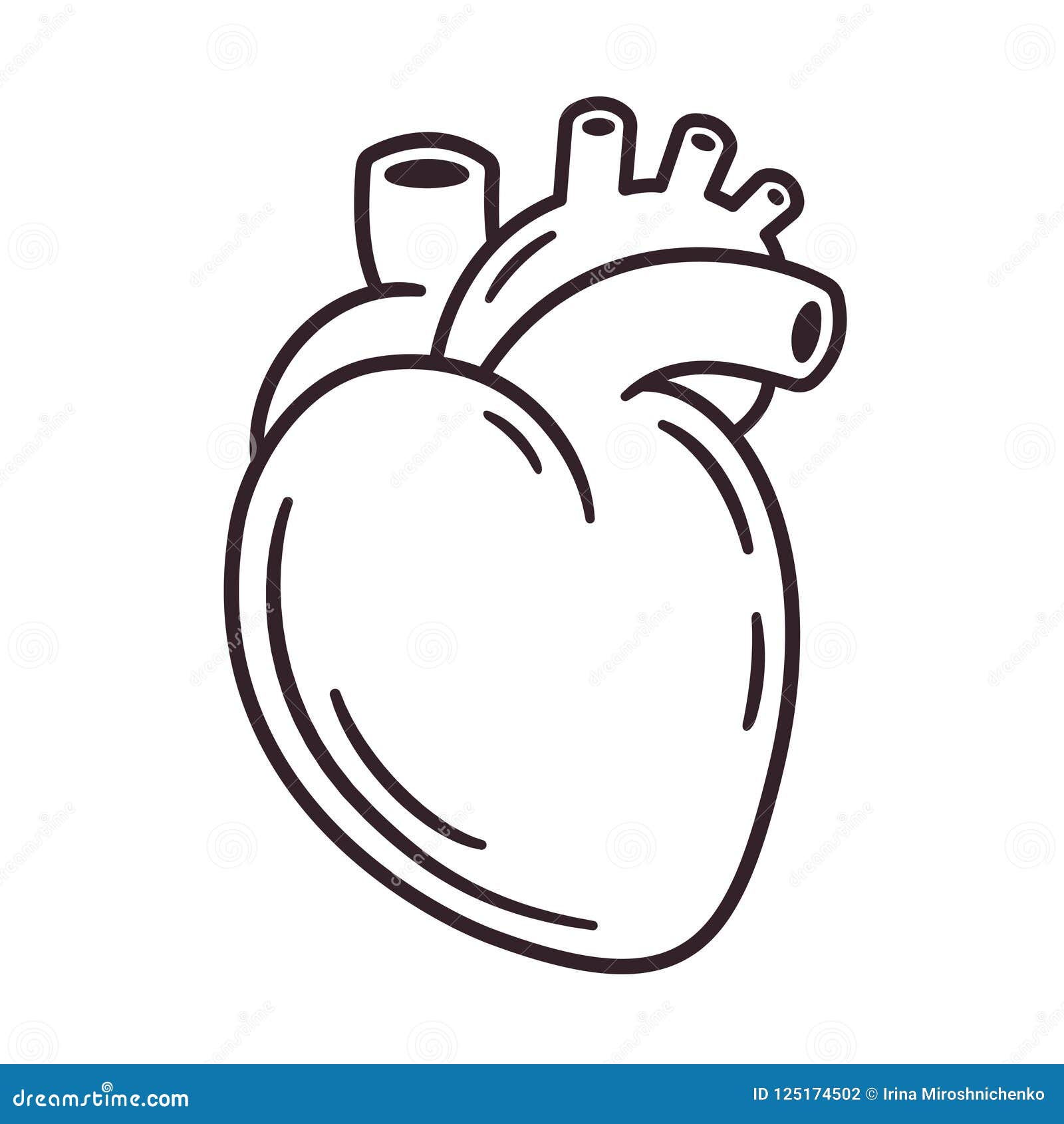 Share more than 85 realistic heart sketch latest - in.eteachers