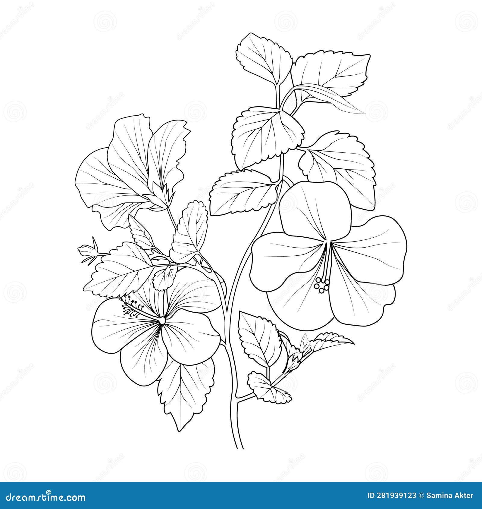 Realistic Hibiscus Flower Tattoo Outline, Hibiscus Tattoo Stencil, Hand ...