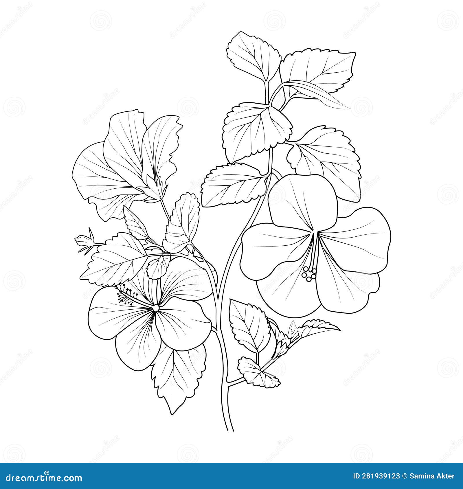 hibiscus flower tattoo outline