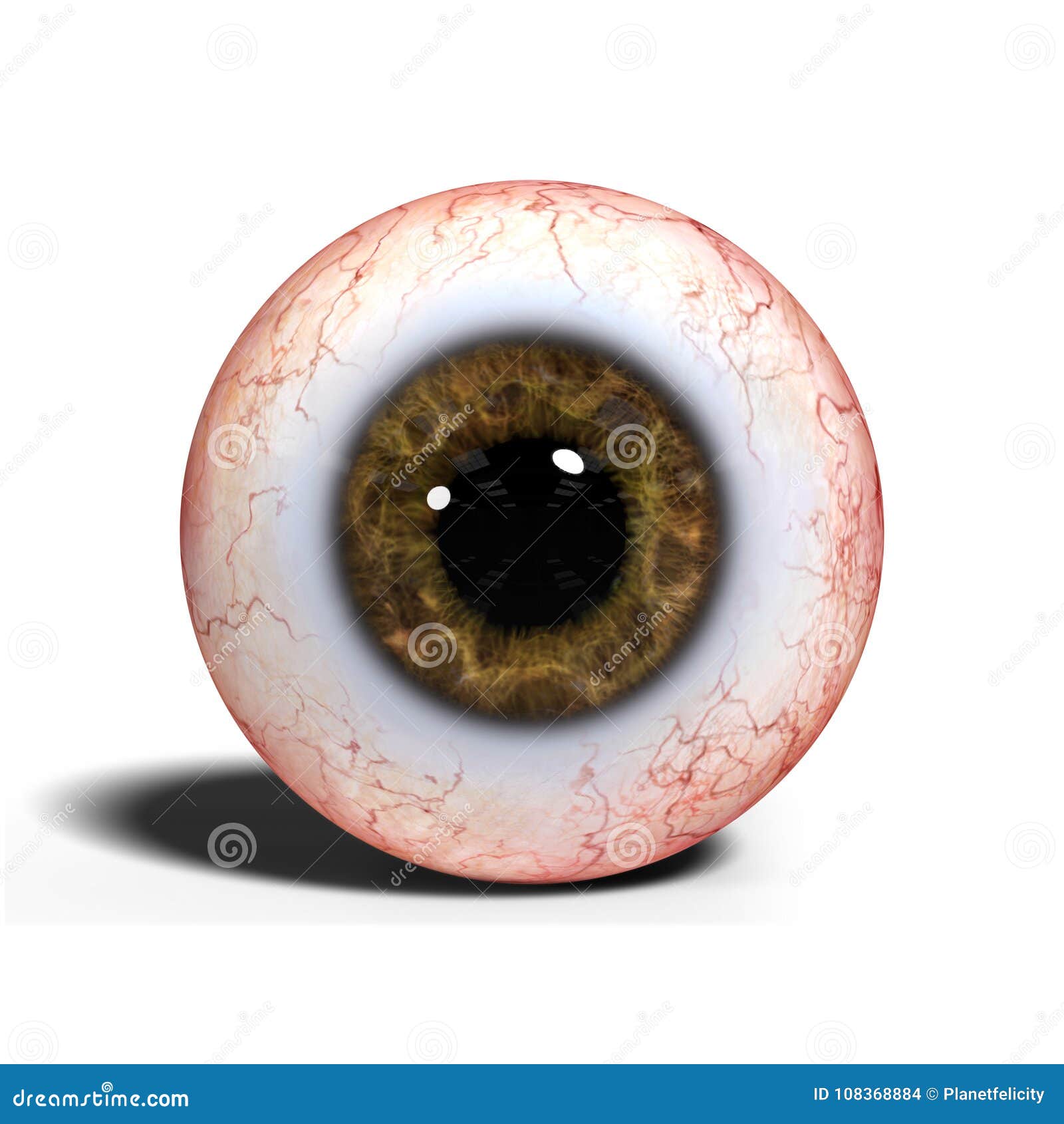 Premium PSD  Realistic human eyes with brown iris eyeballs 3d render