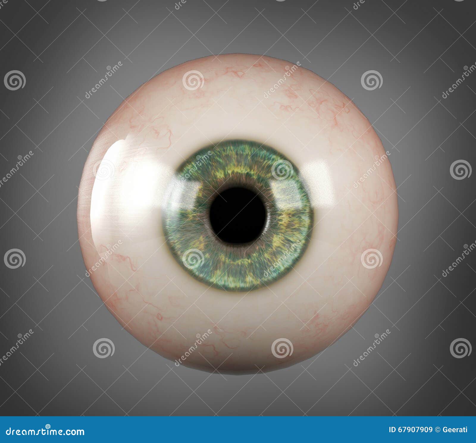 realistic human eyeball blue iris pupil