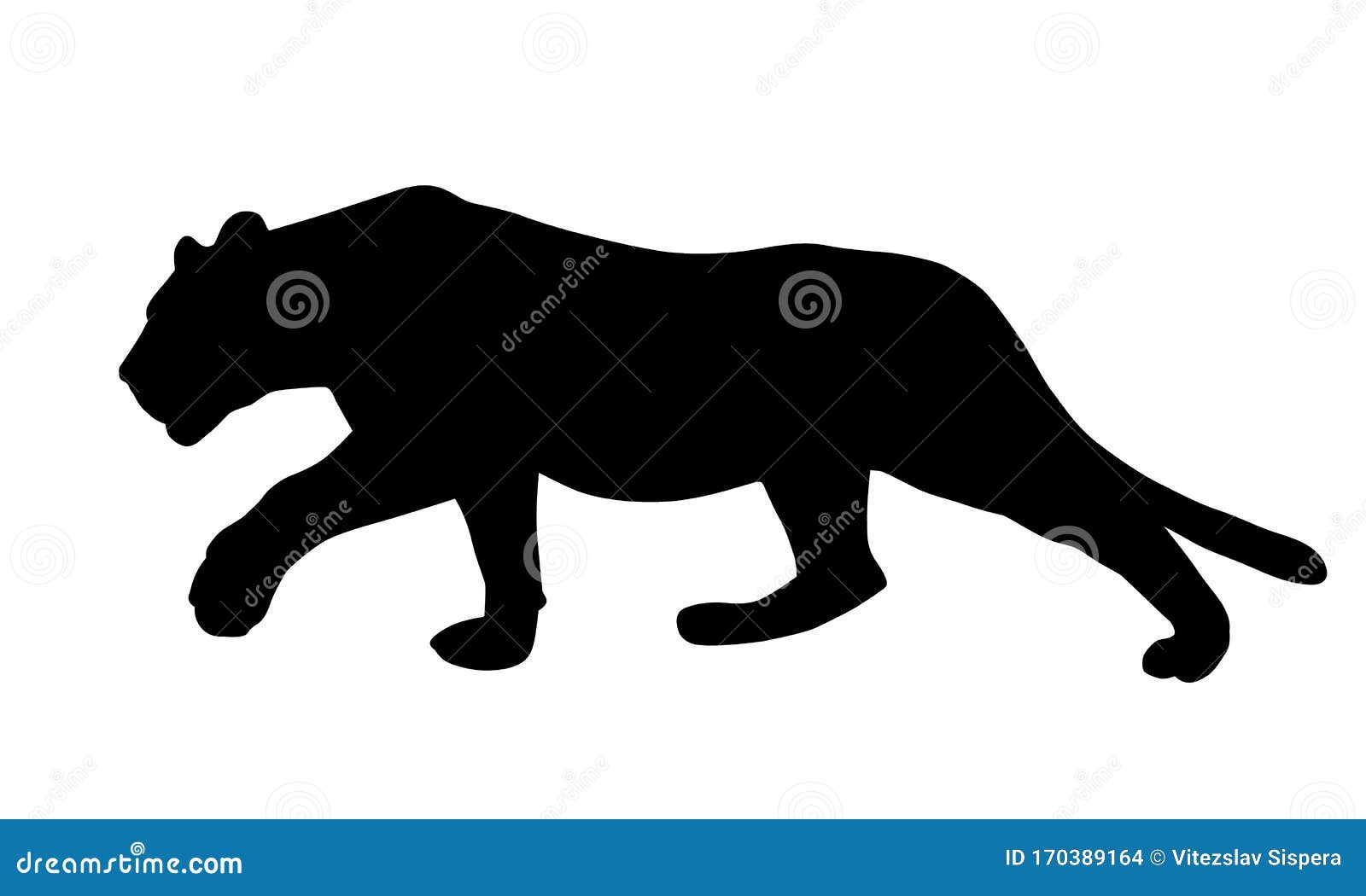 realistic  of a feline, lion or panther, sneaking and hunting, 