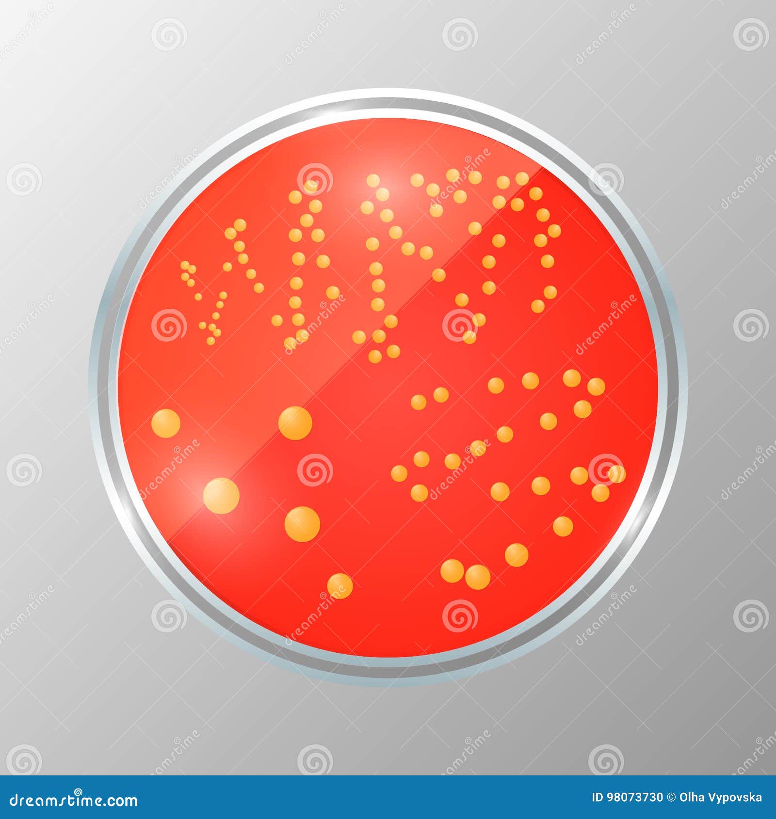 Realistic Illustration of Petri Dish with Bacteria Isolated