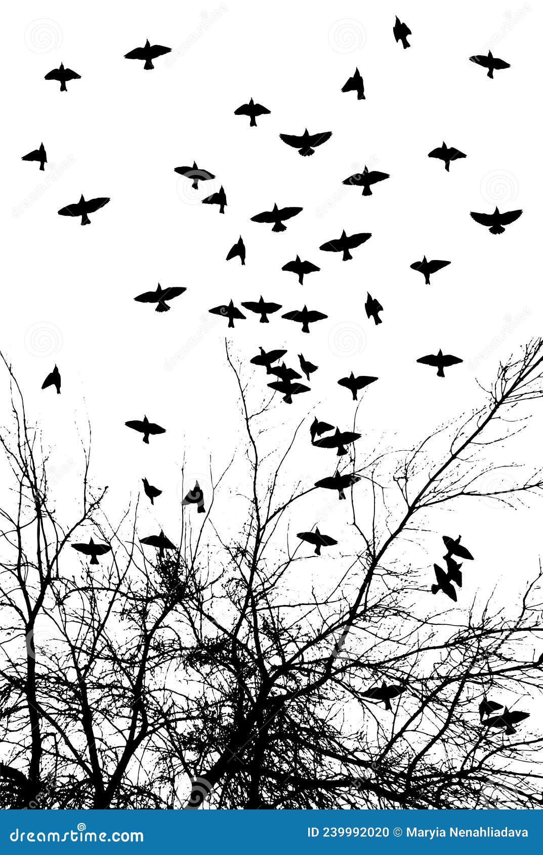 Realistic Illustration with Silhouettes of Three Birds - Crows or ...