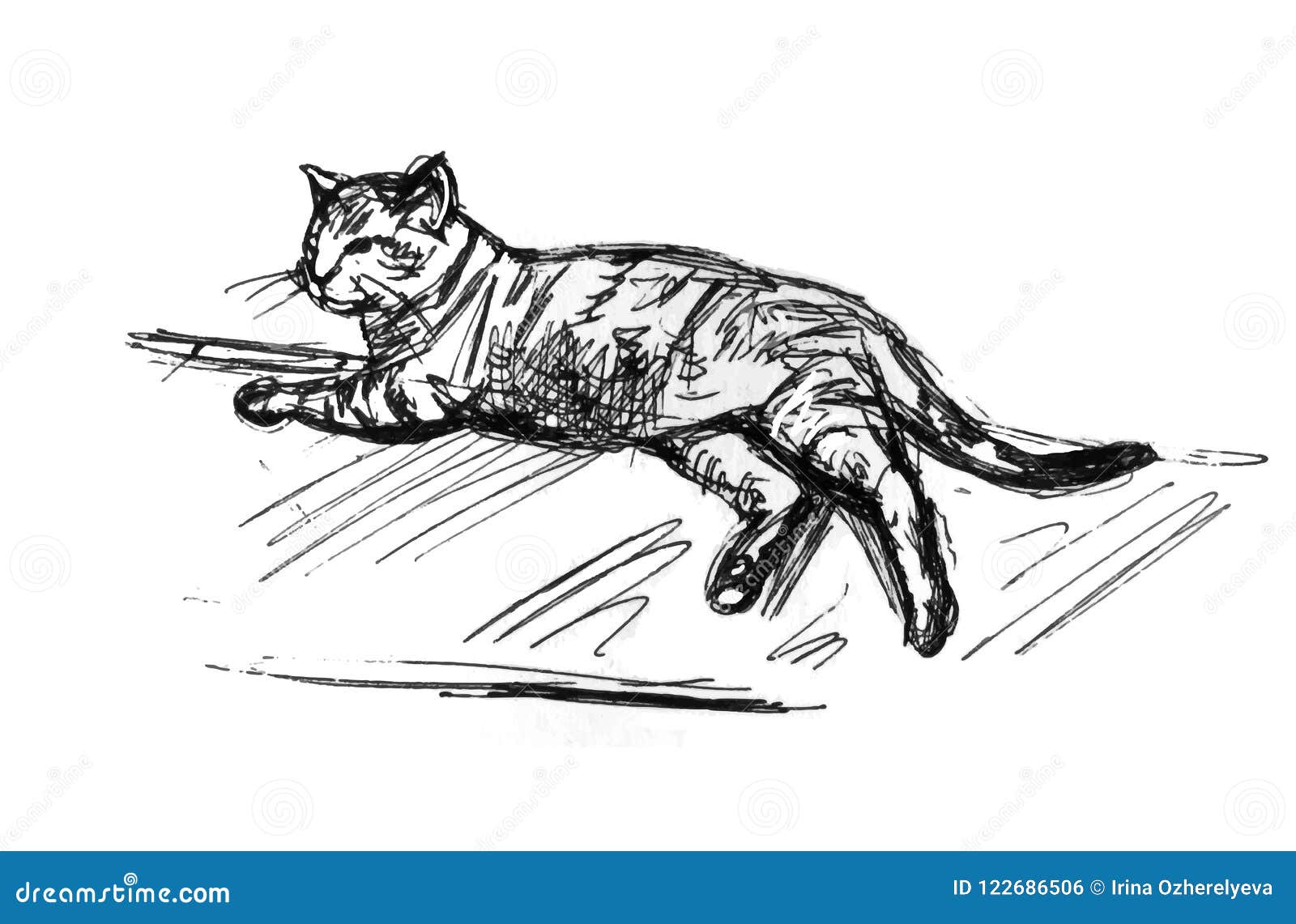 How to draw Cat  Cat laying down drawing  Easy Step by Step  YouTube