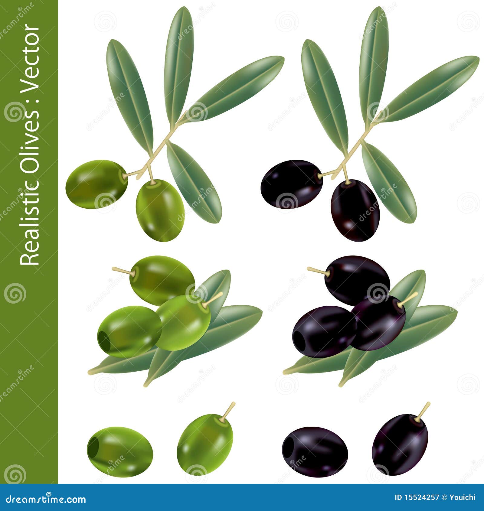 Realistic olives stock vector. Illustration of season 15524257