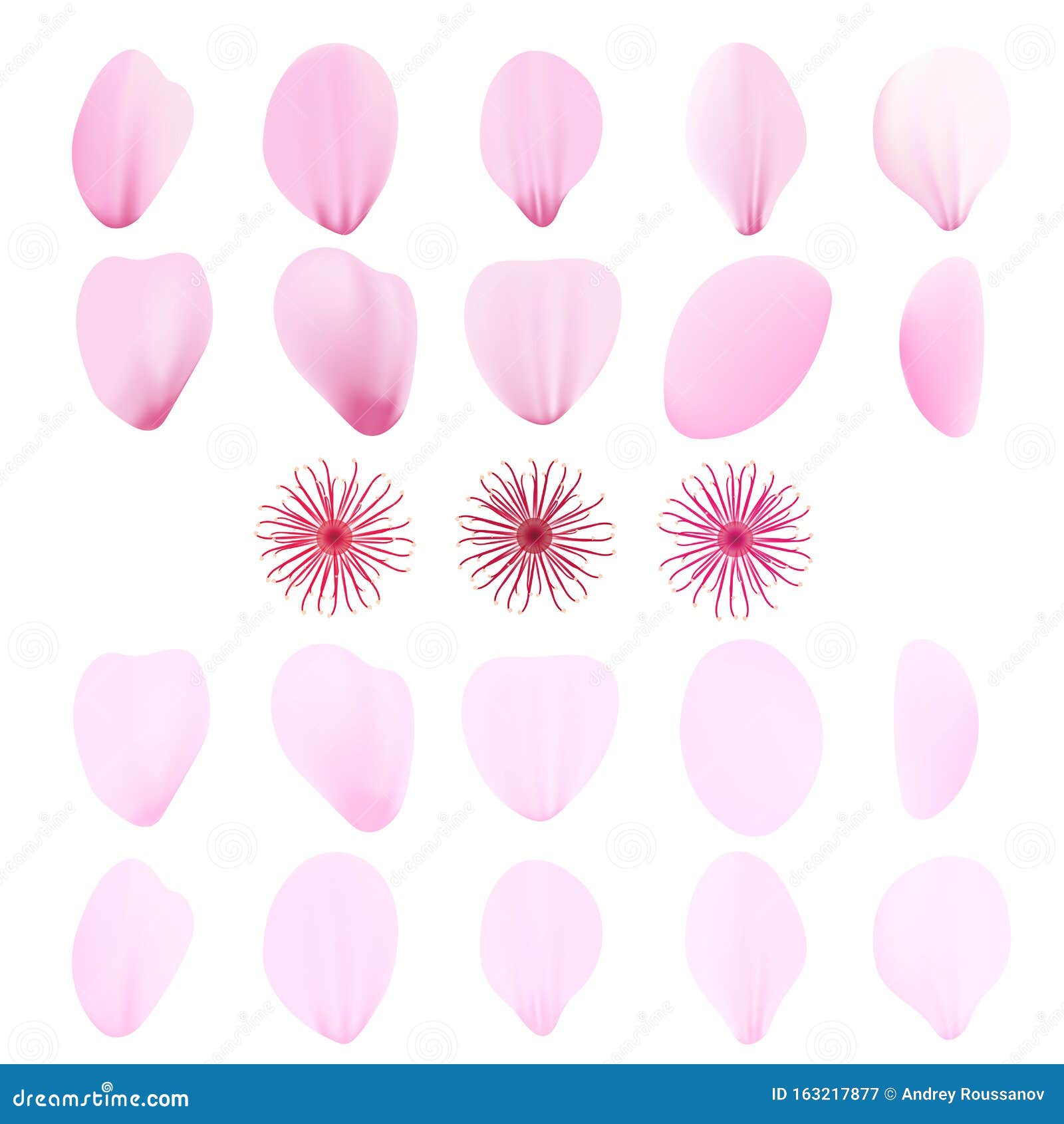 realistic pink sakura petals icon set. cherry petals