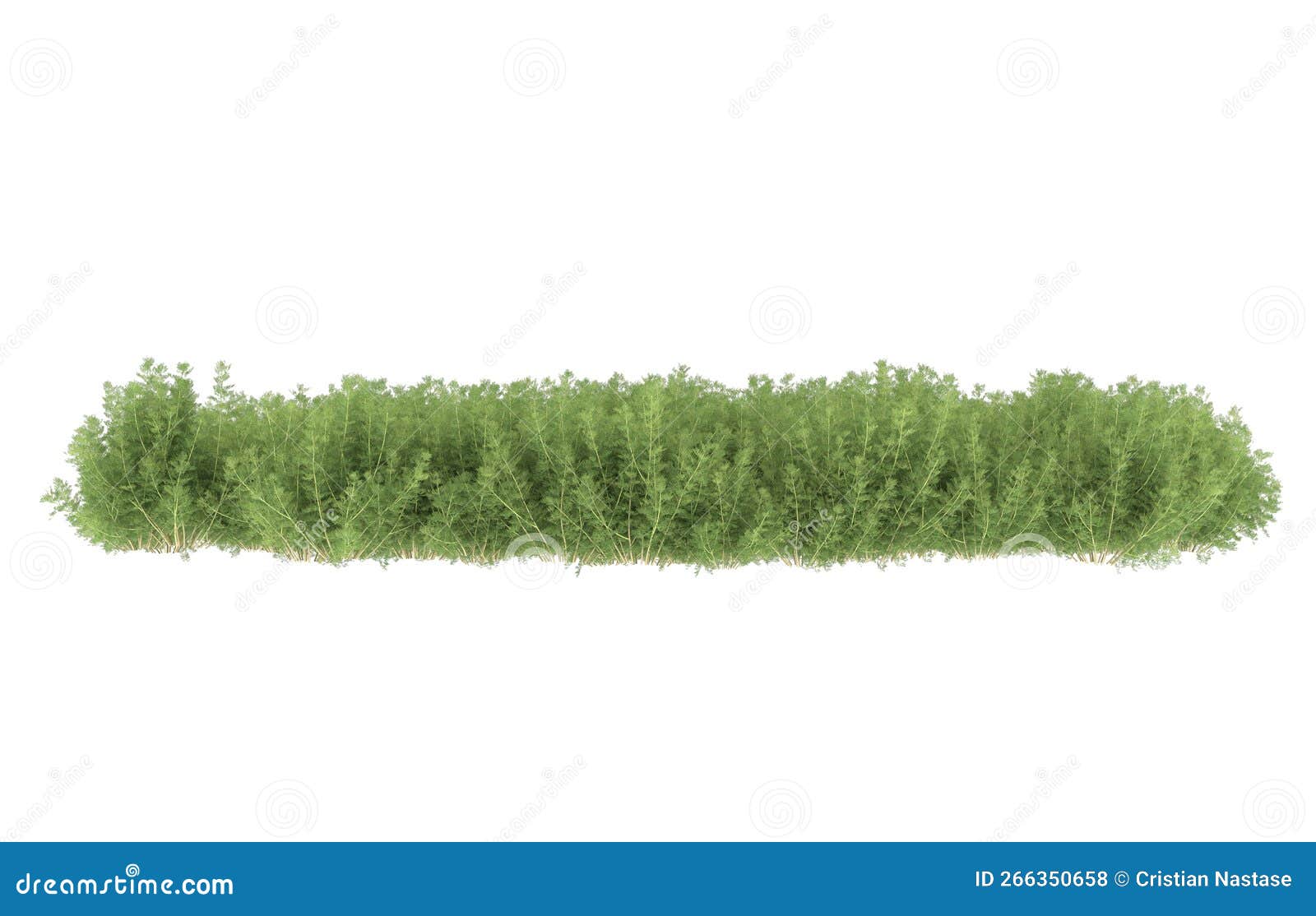 realistic plants  on background. 3d rendering - 