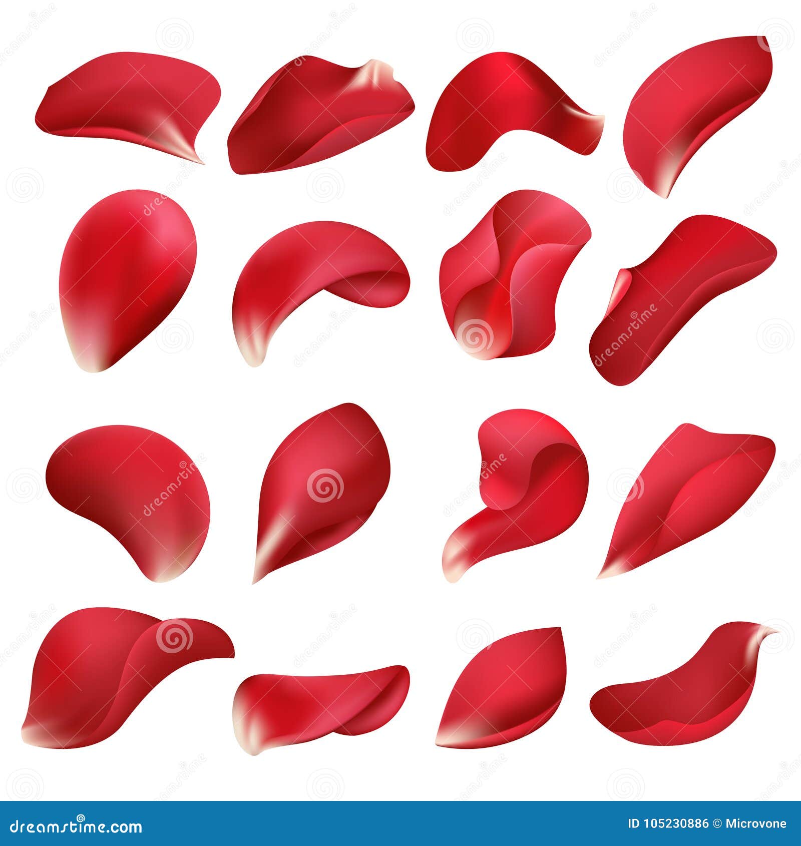realistic red rose flower petals  on white background  set