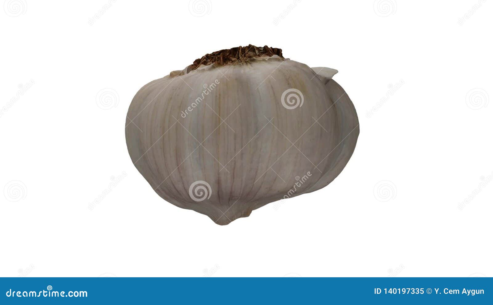 Rotating Garlic Head on White Background 05B Looping Stock Video