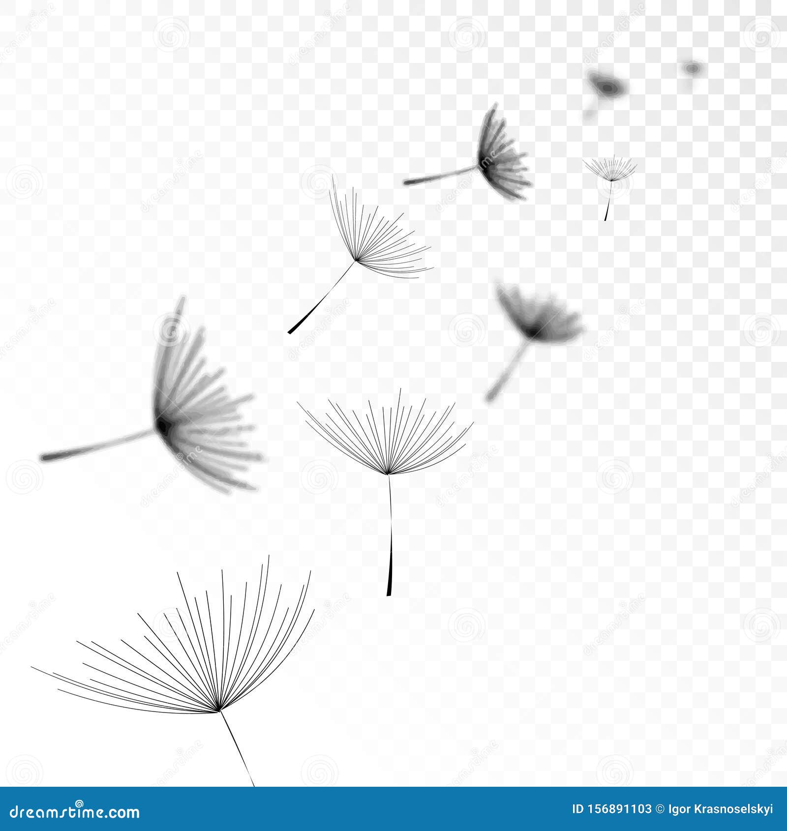 Download Realistic Shadow Overlay Effect Dandelion Flower On ...