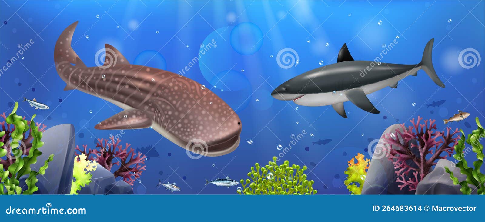Realistic Shark Coloring Page With Desert Background Royalty-Free