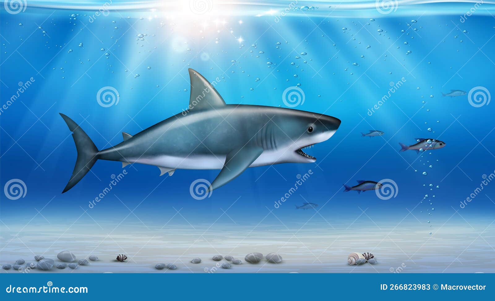 Realistic Shark Coloring Page With Desert Background Royalty-Free
