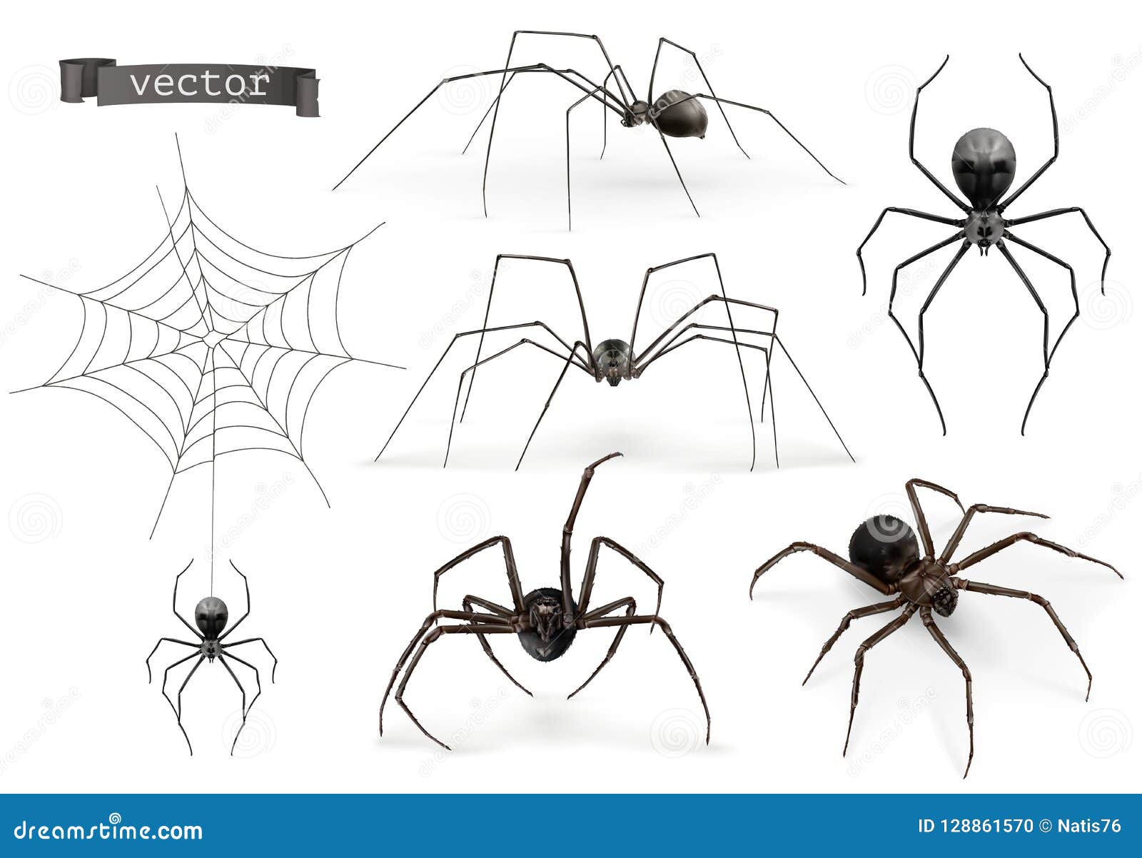 sketch realistic spider Stock Vector | Adobe Stock