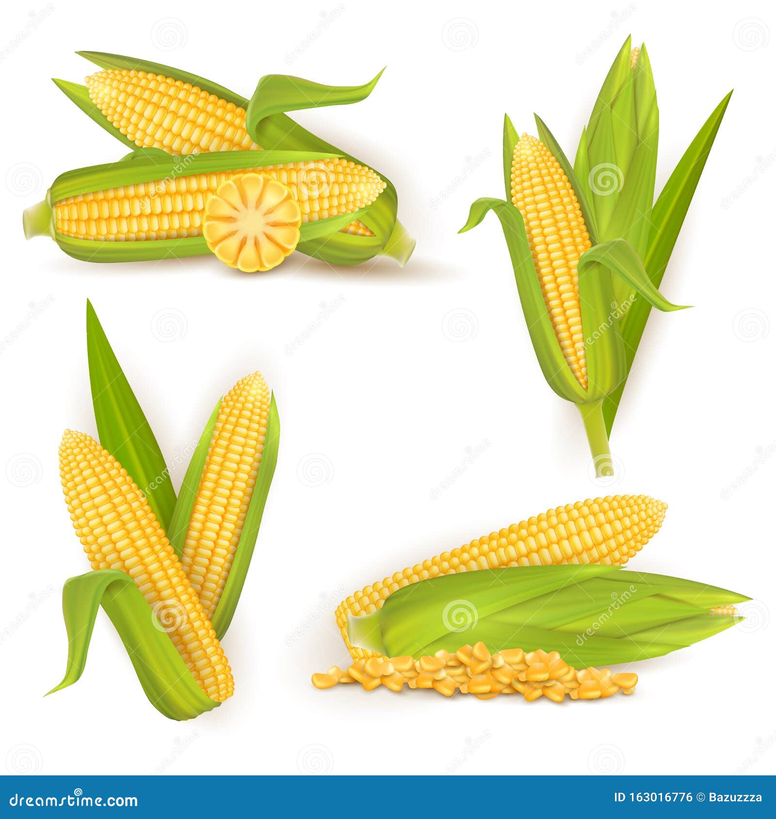 Realistic Sweet Corn Set, Vector Isolated Illustration Stock Vector ...