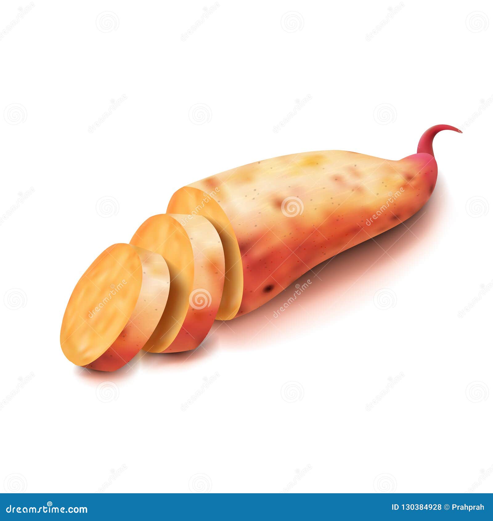 Realistic Sweet Potato on a White Background Stock Vector ...