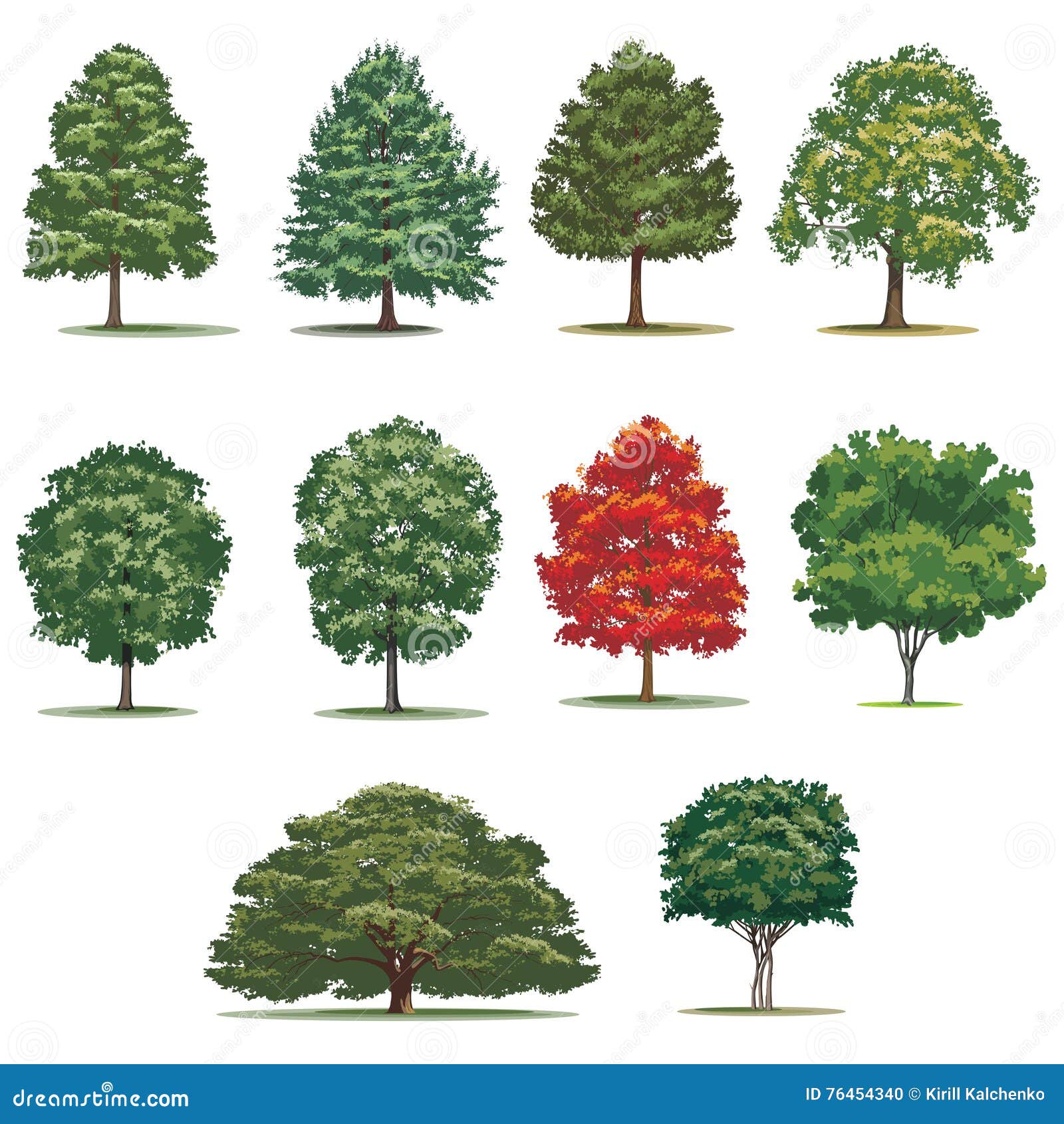 realistic trees pack.   trees on white background.