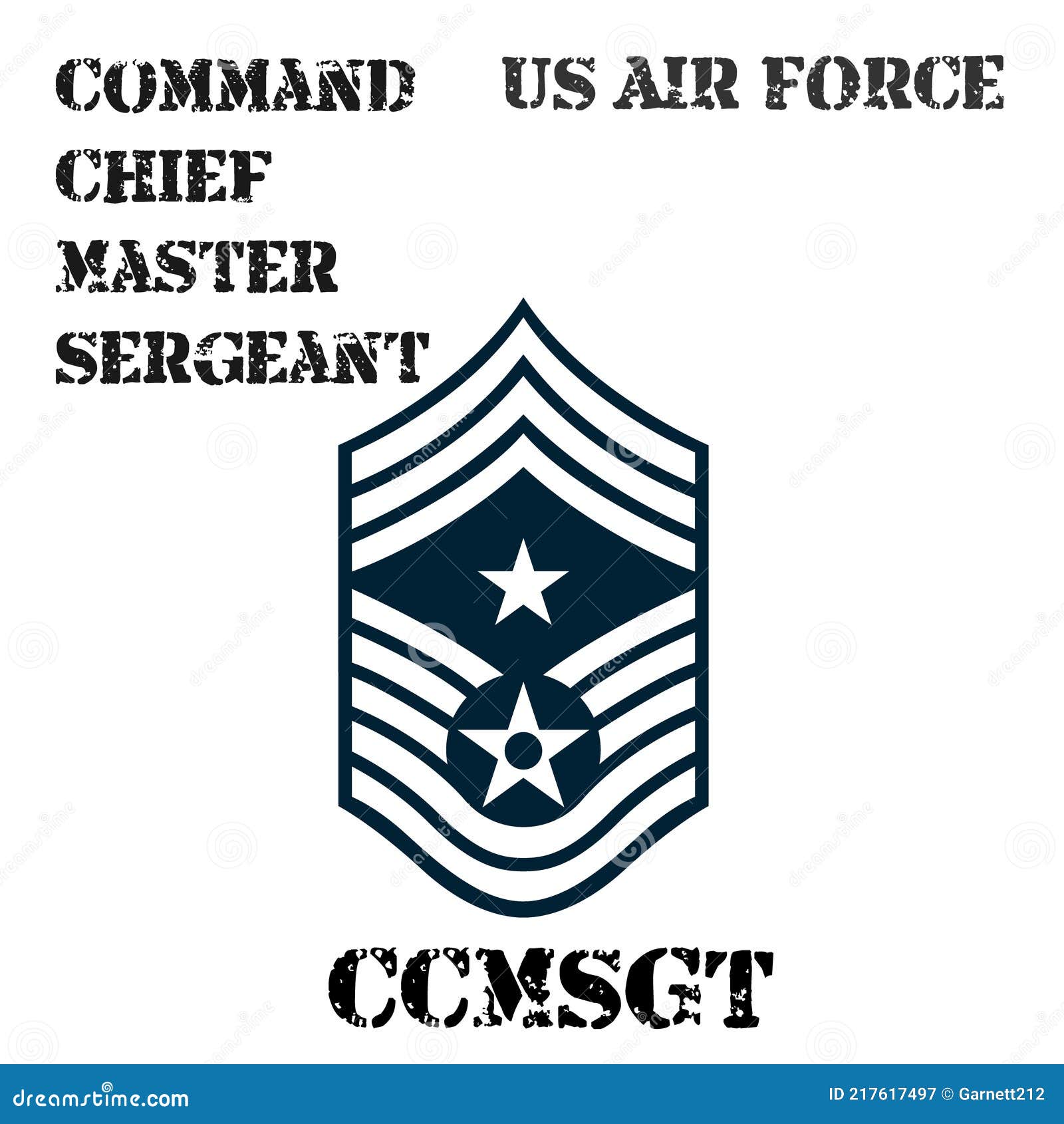Realistic Vector Badge of the Armband of the Chevron of the Command ...