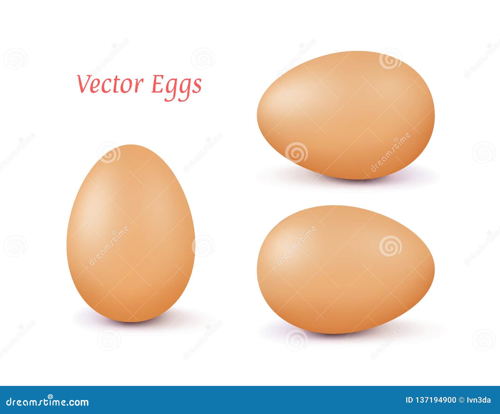 Download Realistic Vector Brown 3d Egg With A Different Position ...