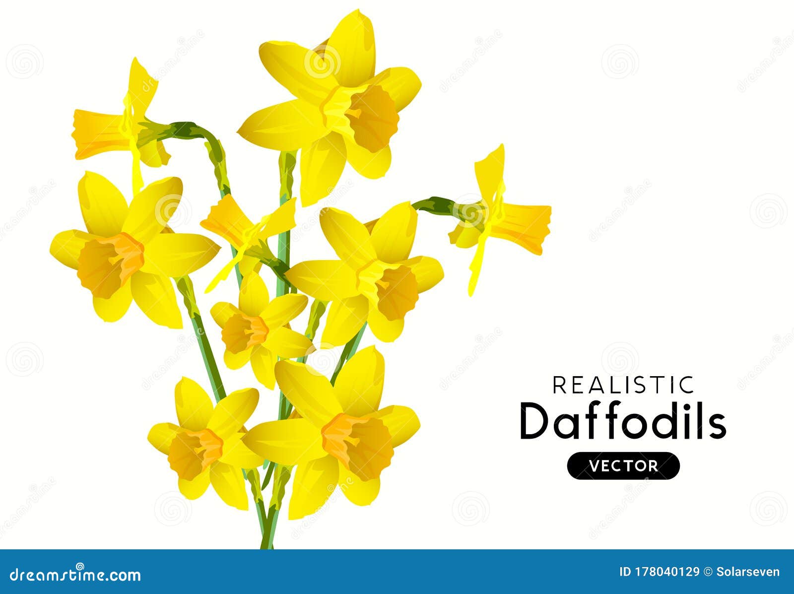 Realistic Daffodil Tattoo Black and White - wide 6