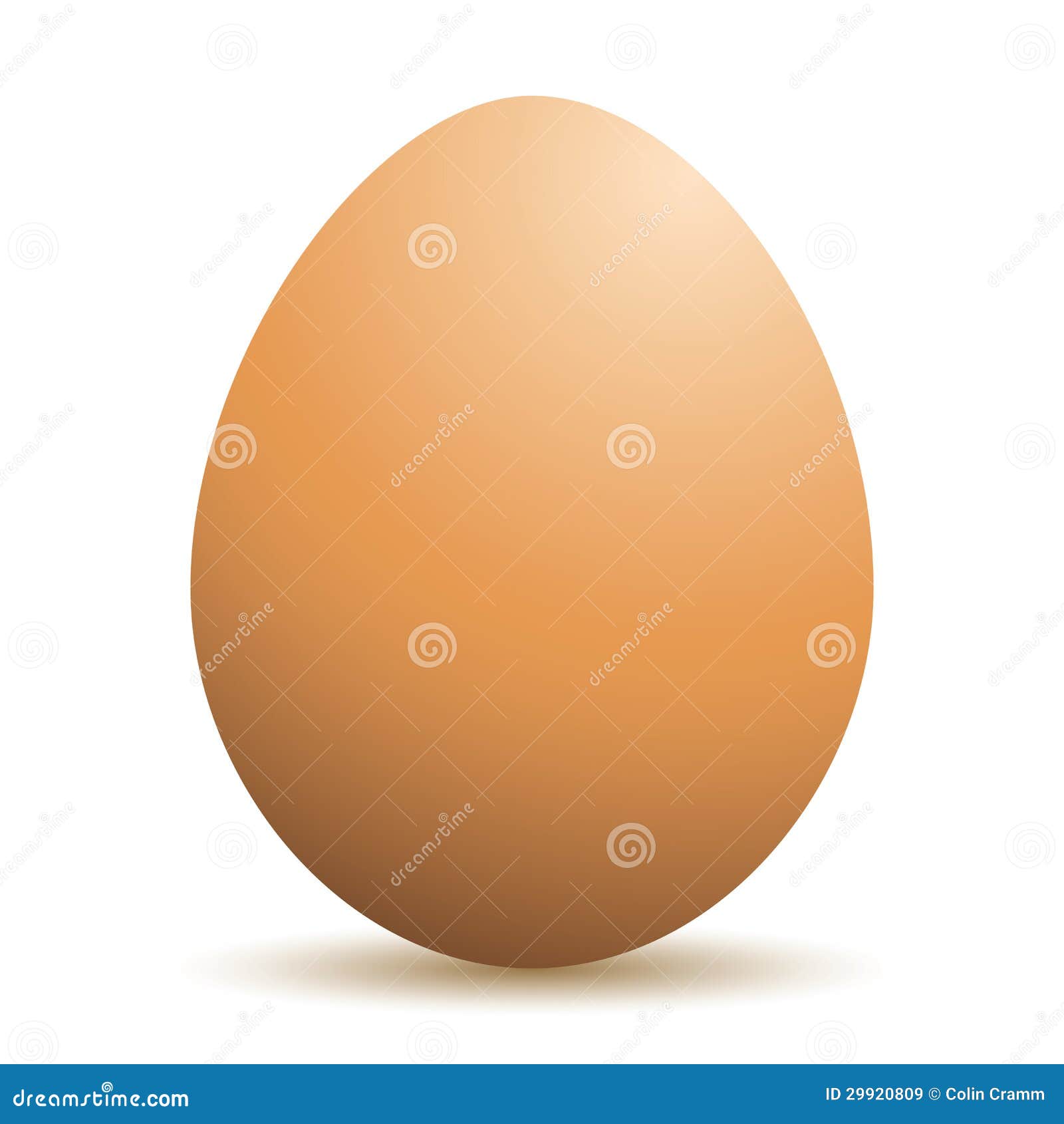 Realistic egg stock vector. Illustration of photorealistic 29920809