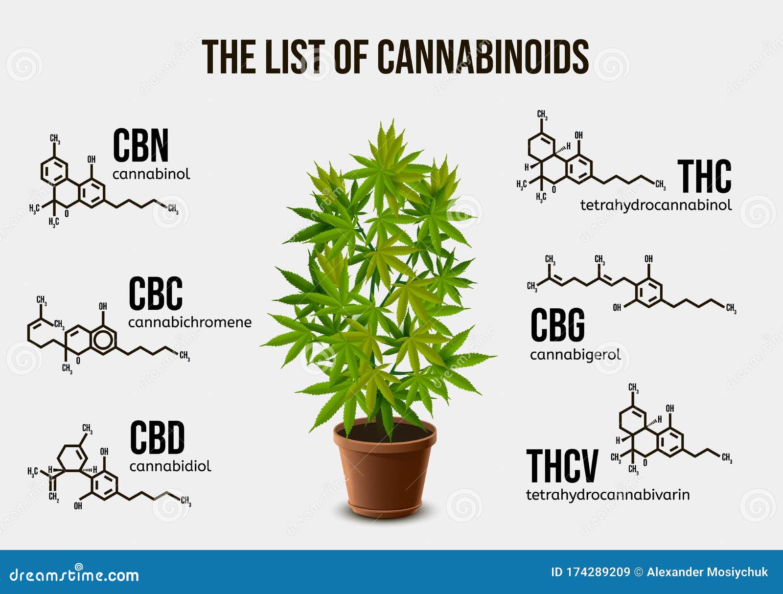 Realistic Vector Illustration of Potted Cannabis and Chemical Structure