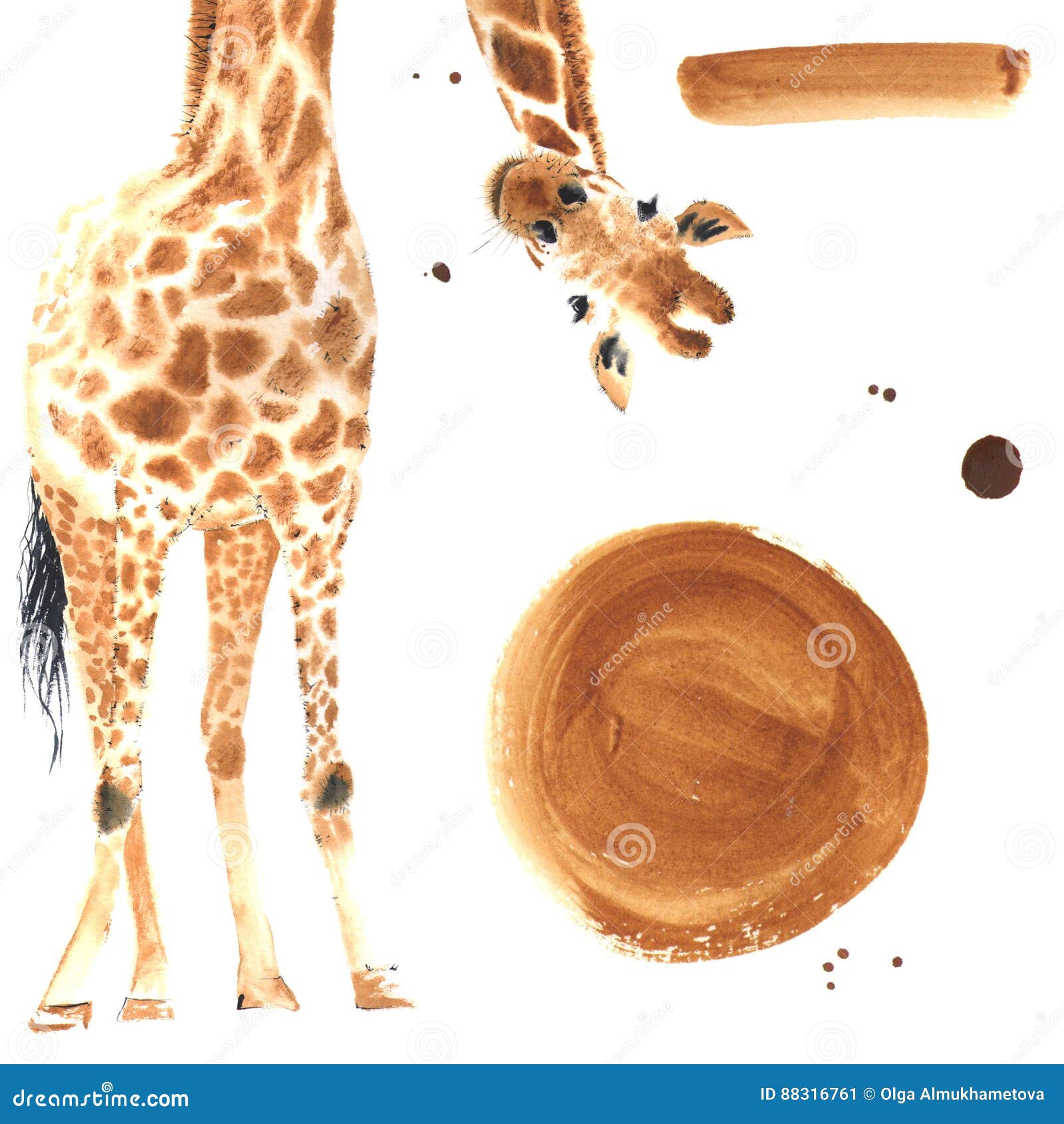 realistic watercolor giraffe stock