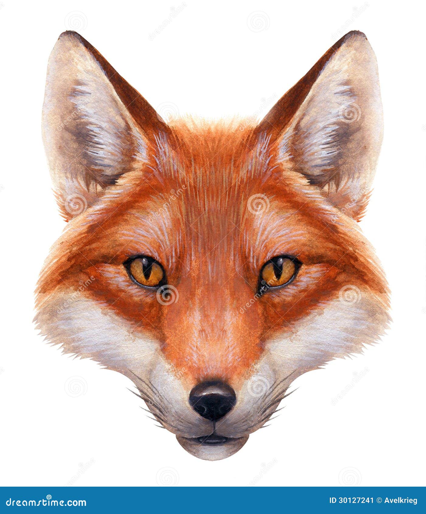 Foxs Face Stock Illustrations – 115 Foxs Face Stock Illustrations, Vectors  & Clipart - Dreamstime