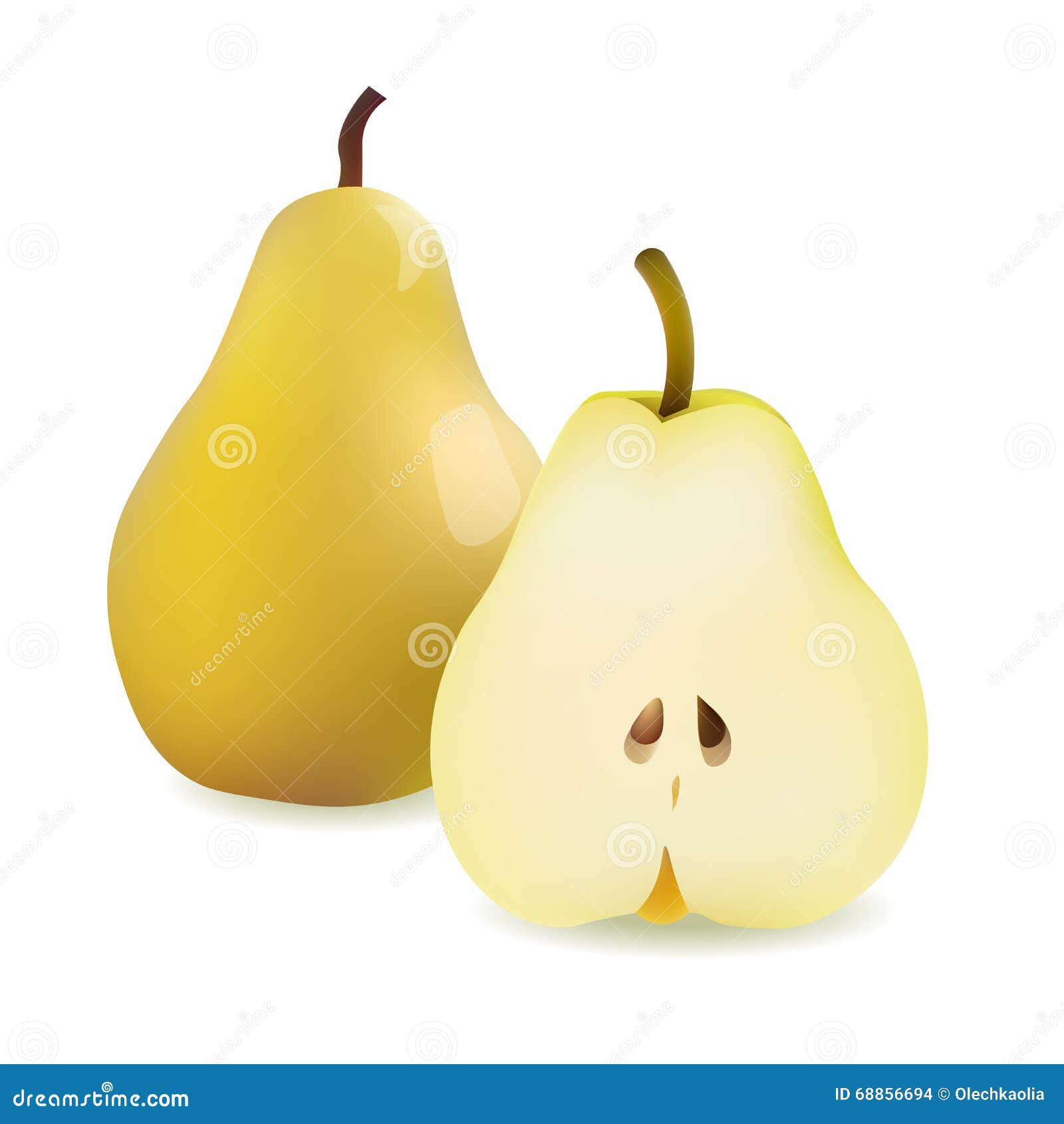 Realistic Yellow Pear and Half Sliced Pear. Vector Illustration