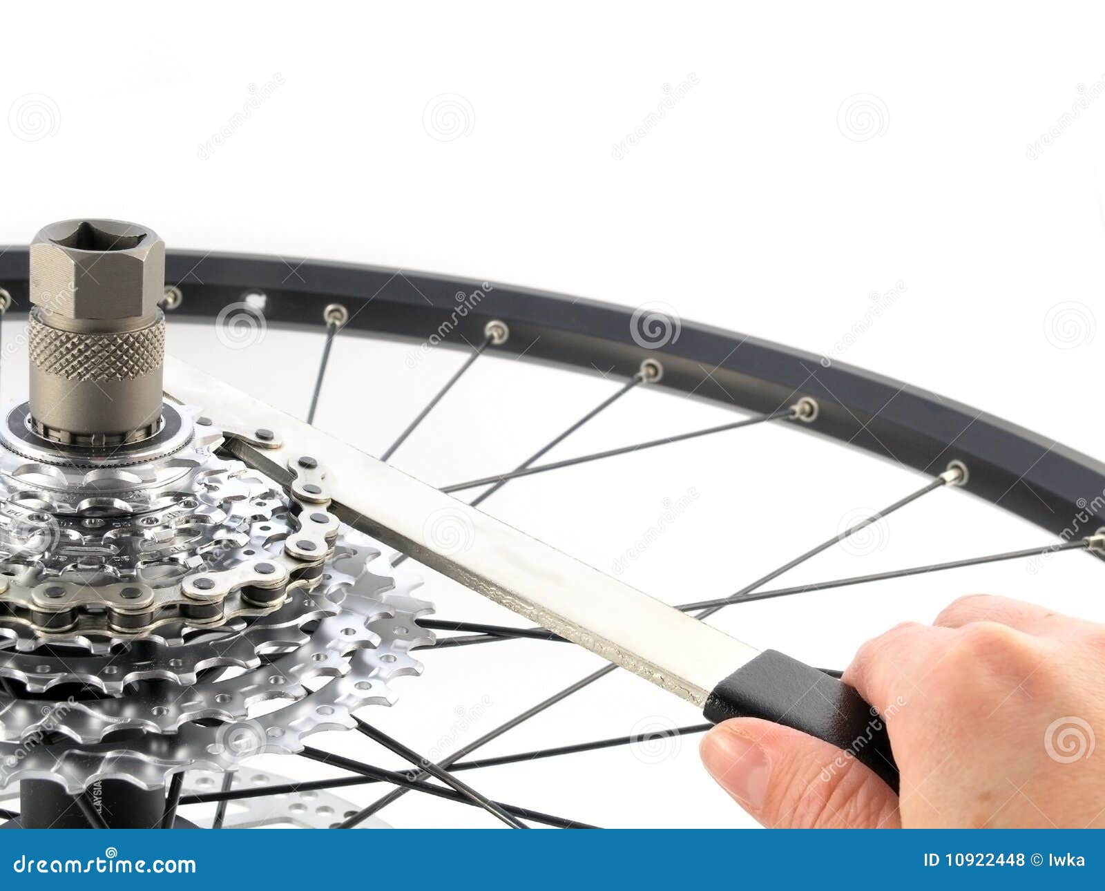 Rear bicycle cog cassette stock photo. Image of ride 10922448