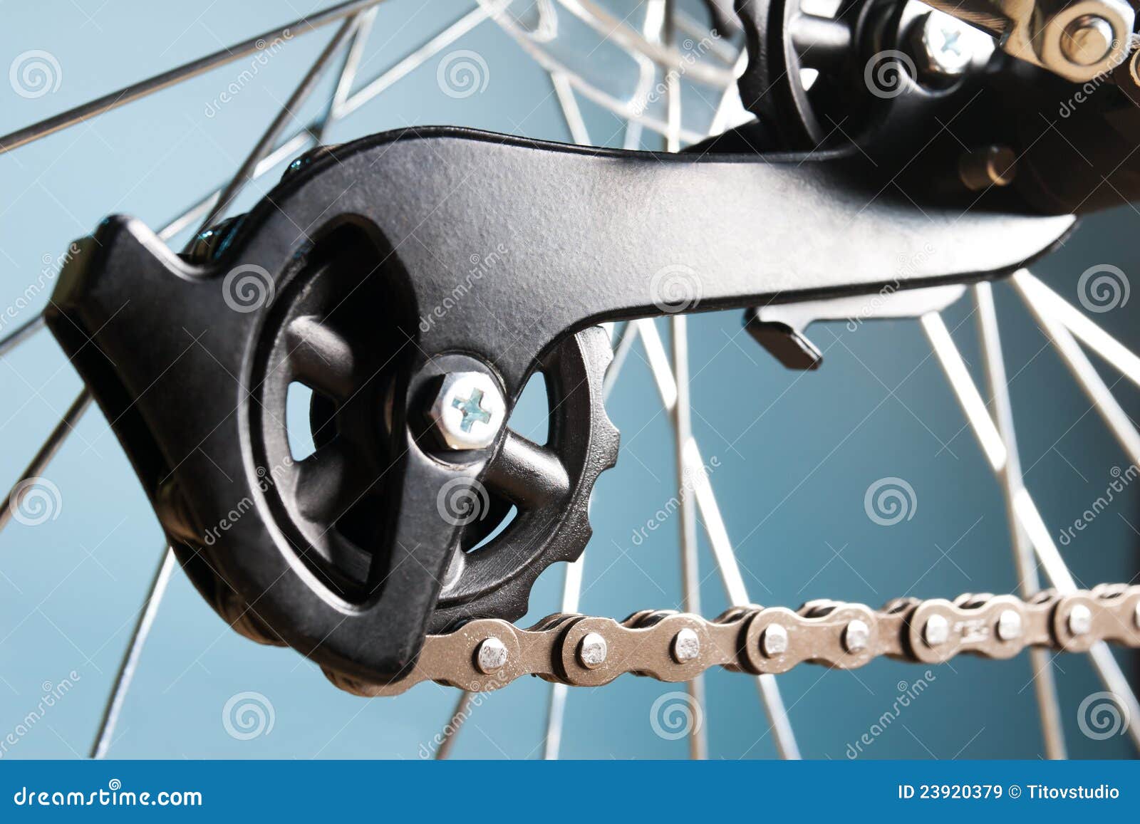 Rear Bike Cassette on the Wheel with Chain Stock Image Image of