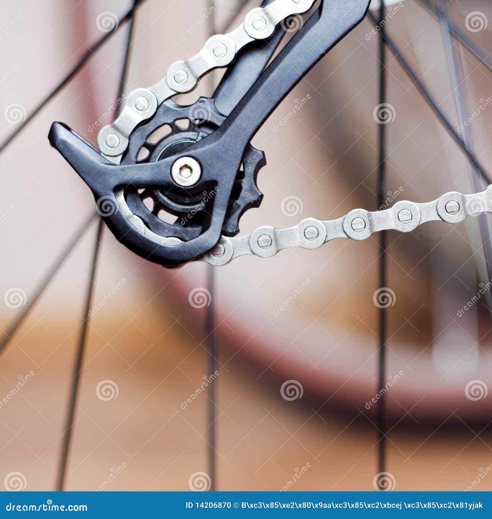 Rear Derailleur and Chain of Mountain Bike Stock Photo Image of drive