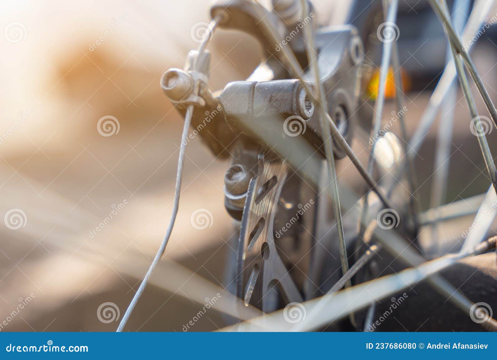 Rear Disc Brake System on a Bicycle Stock Photo Image of spoke, spokes 237686080