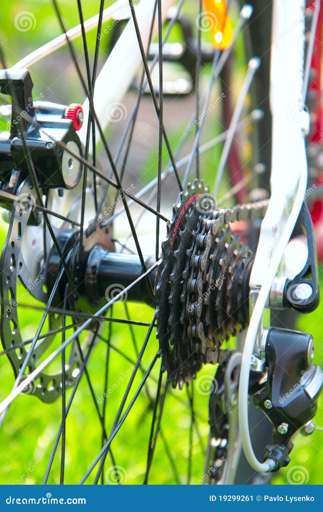 custom bike cassette