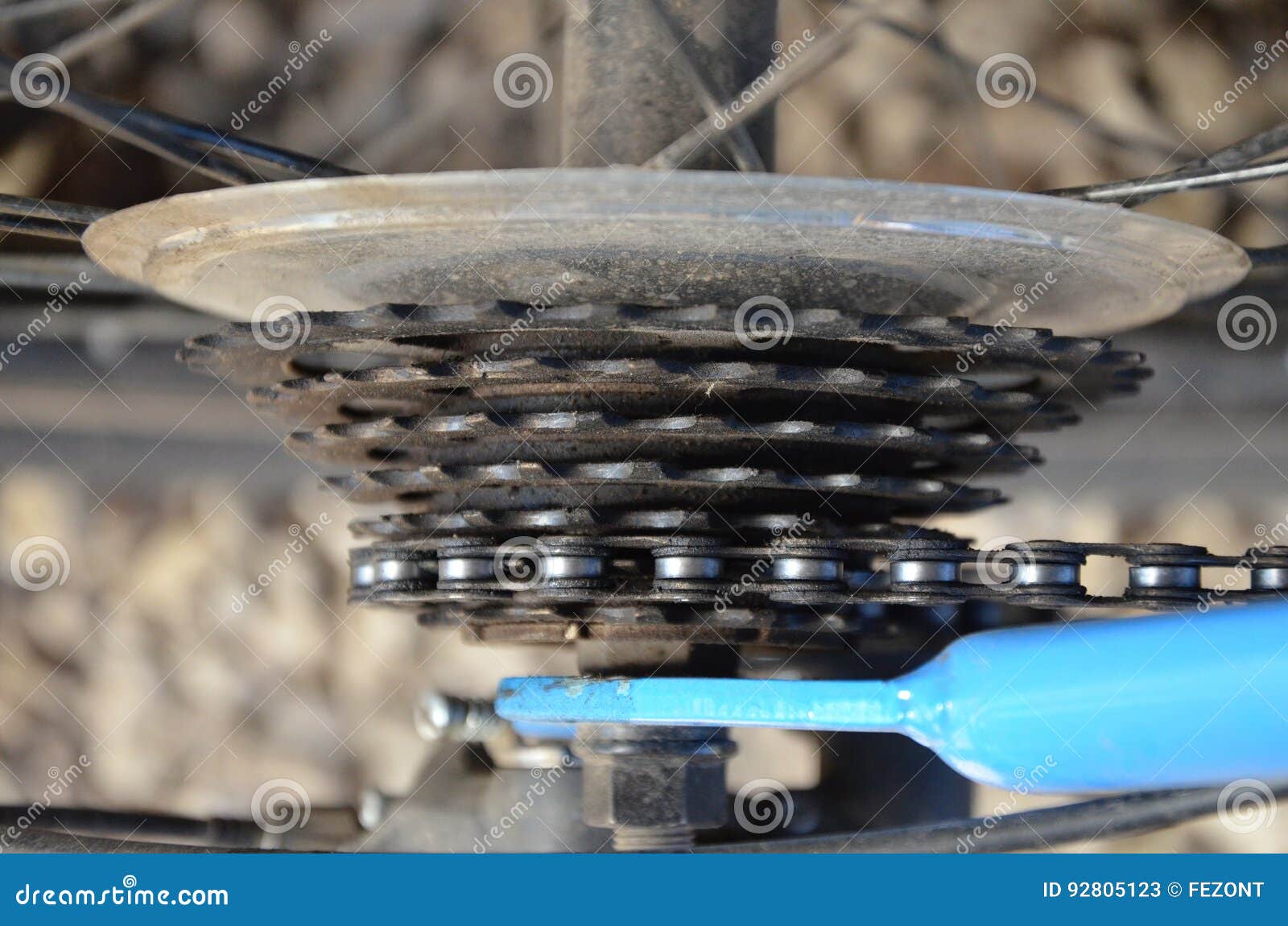 The Rear Sprocket on the Bike Stock Image Image of shop, bicycle