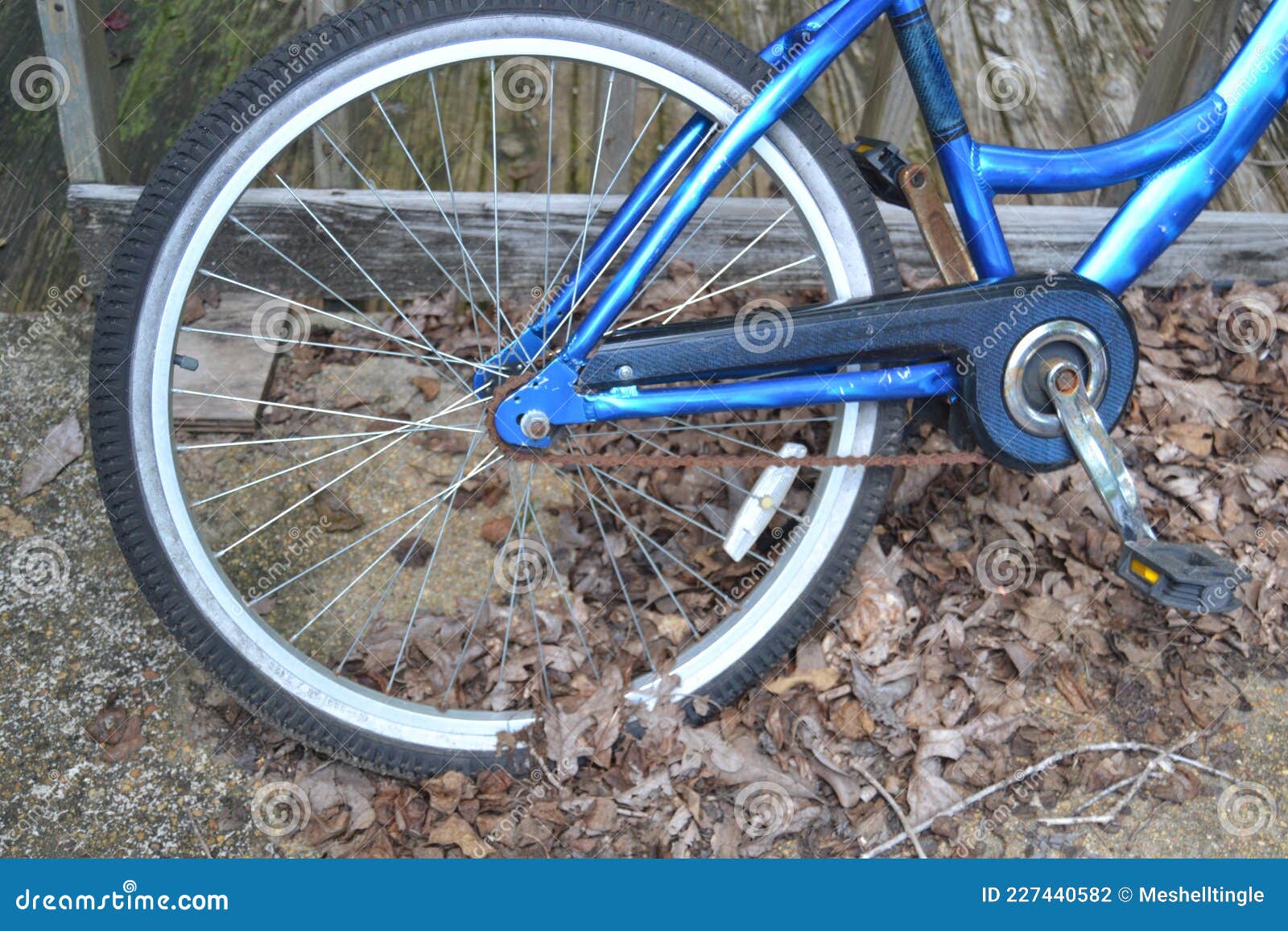Rear Tire of an Old Bicycle Stock Photo Image of spokes, rear 227440582