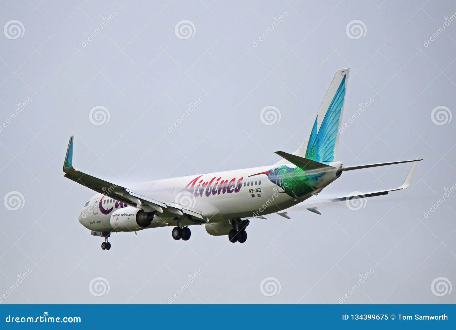 Boeing 737 800 Seating Chart Caribbean Airlines