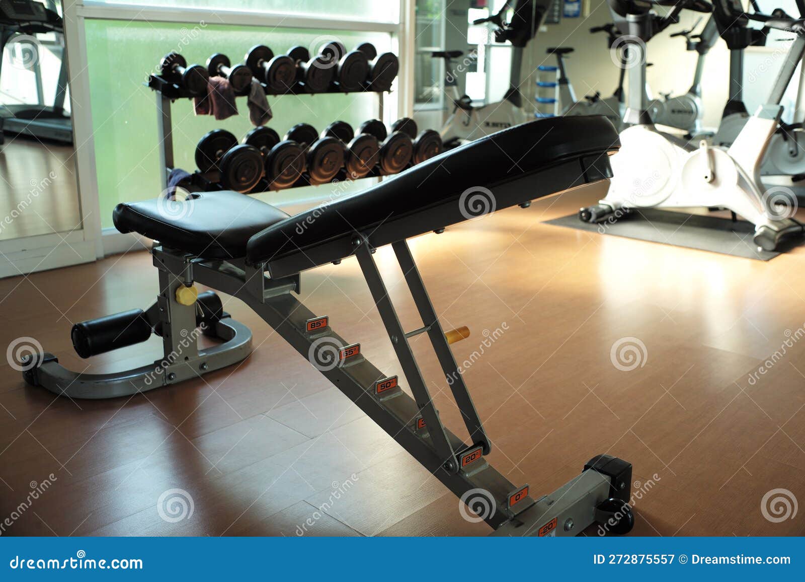 Rear View of Exercise Bench with Blurred Racks of Dumbbells in
