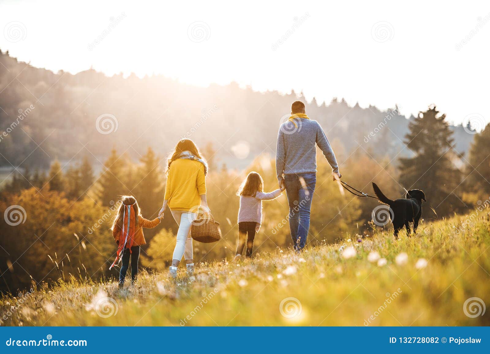 a rear view of family with two small children and a dog on a walk in autumn nature.