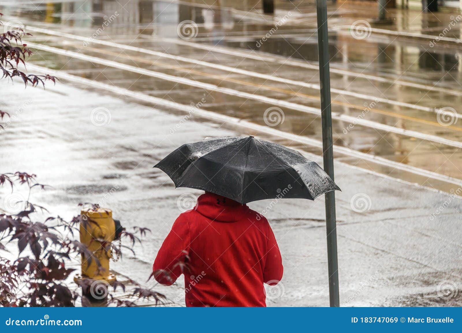 walking in the rain without an umbrella