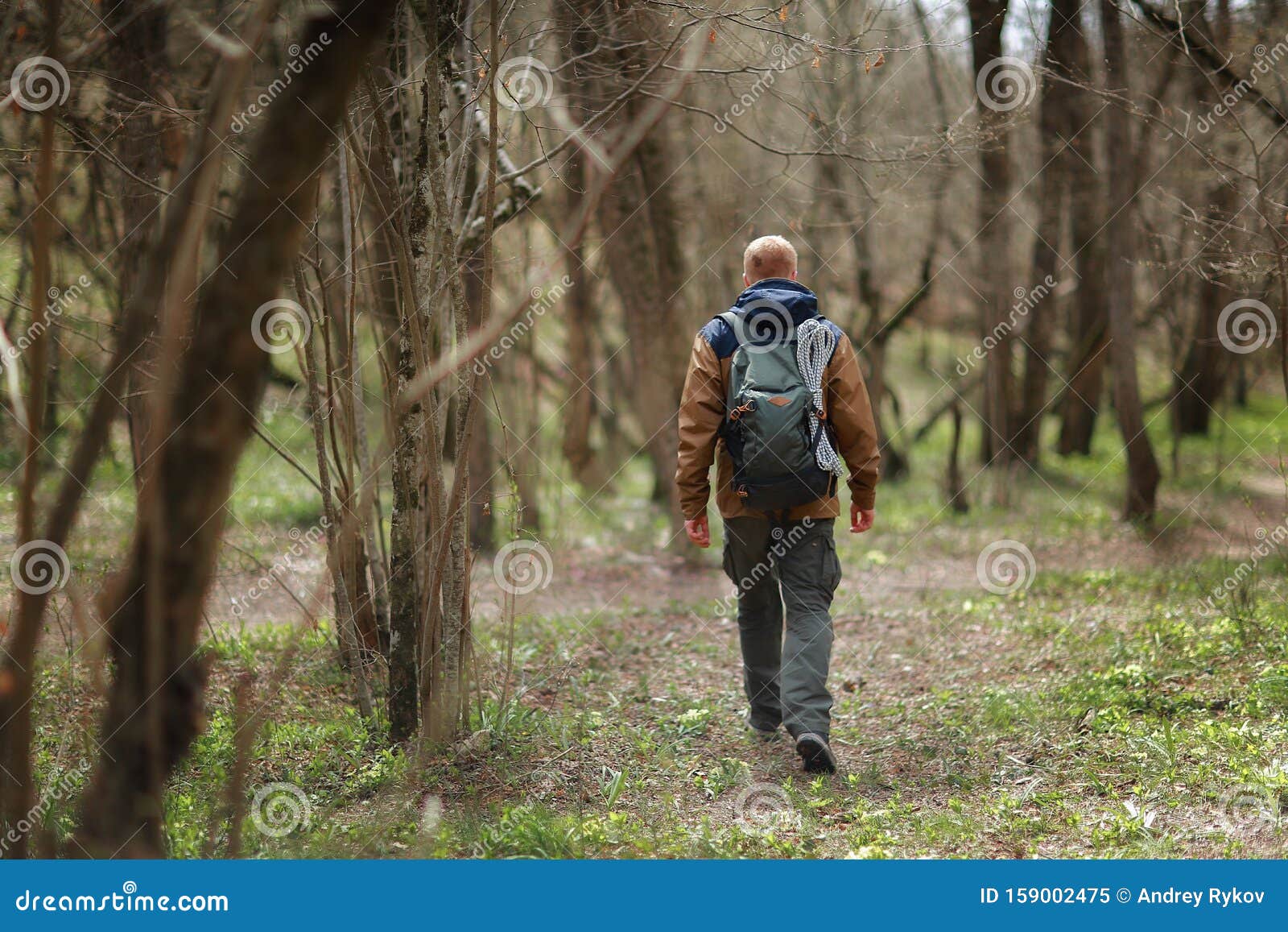 rear view of man walking in spring forest