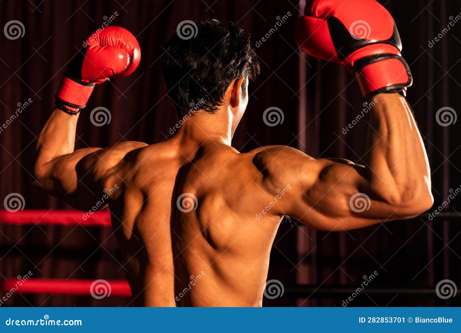 Sportsman muay thai woman boxer posing in training studio at black  background. Stock Photo | Adobe Stock