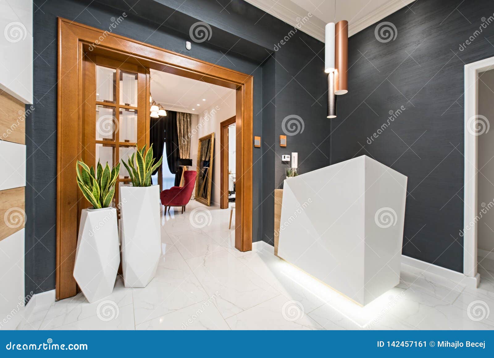 Reception Area in Luxury Dental Clinic Stock Image - Image of indoor,  health: 142457161