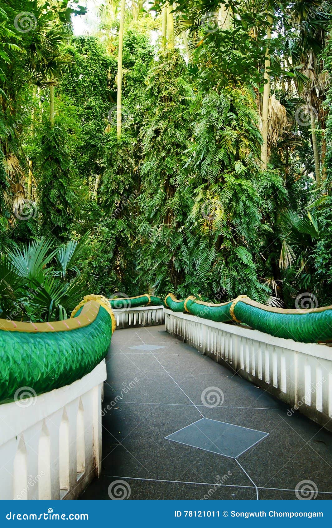 Recinto di verde della parete del corridoio della via Sun spleso