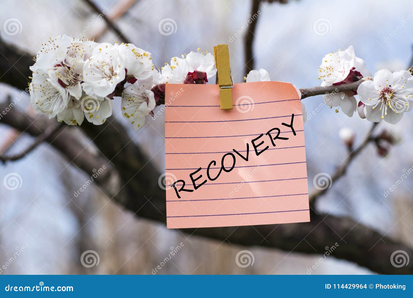 recovery in memo