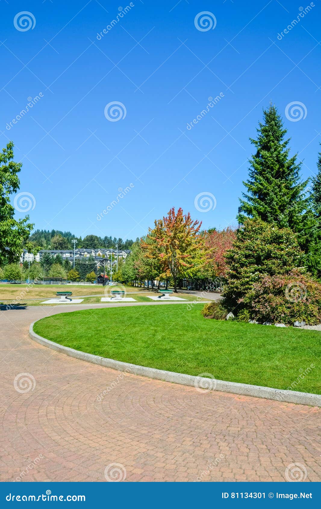 Recreational Zone with Tiled Pathway in Front Stock Image Image of