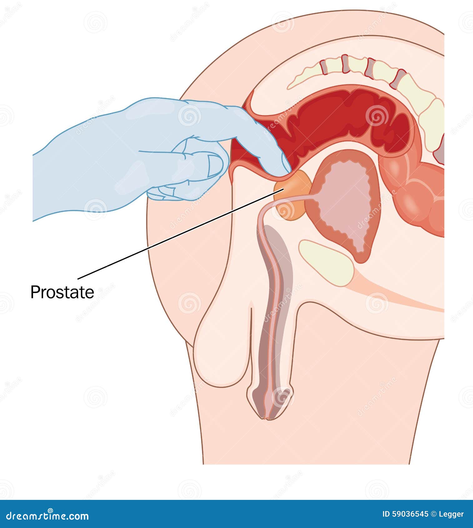 prostate test